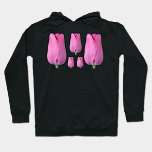 Tulipa &#39;Pink Flag&#39; Tulip Triumph Group Hoodie